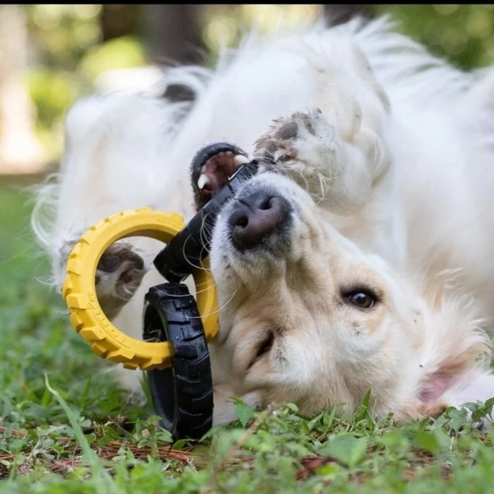 Tonka 3-Ring Rubber Outdoor Black & Yellow Playtime Dog Lover Tug Toy